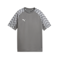 Puma Youth TeamLiga 26 Jersey - Gray