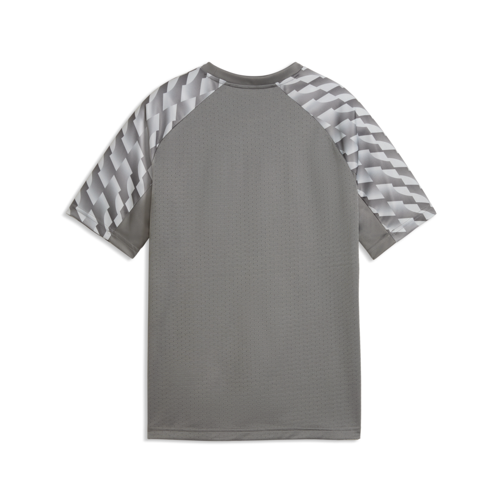 Puma Youth TeamLiga 26 Jersey - Gray
