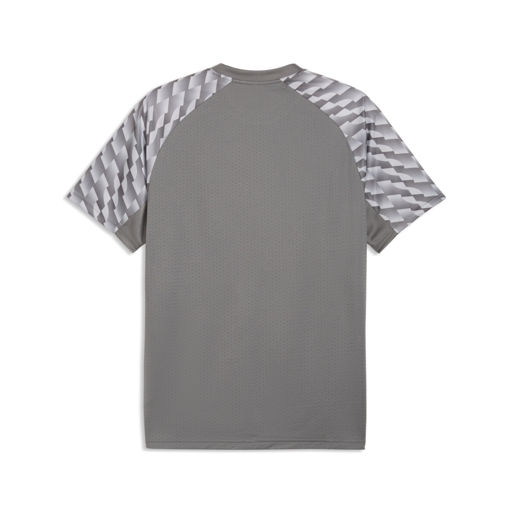 Puma TeamLiga 26 Jersey - Gray