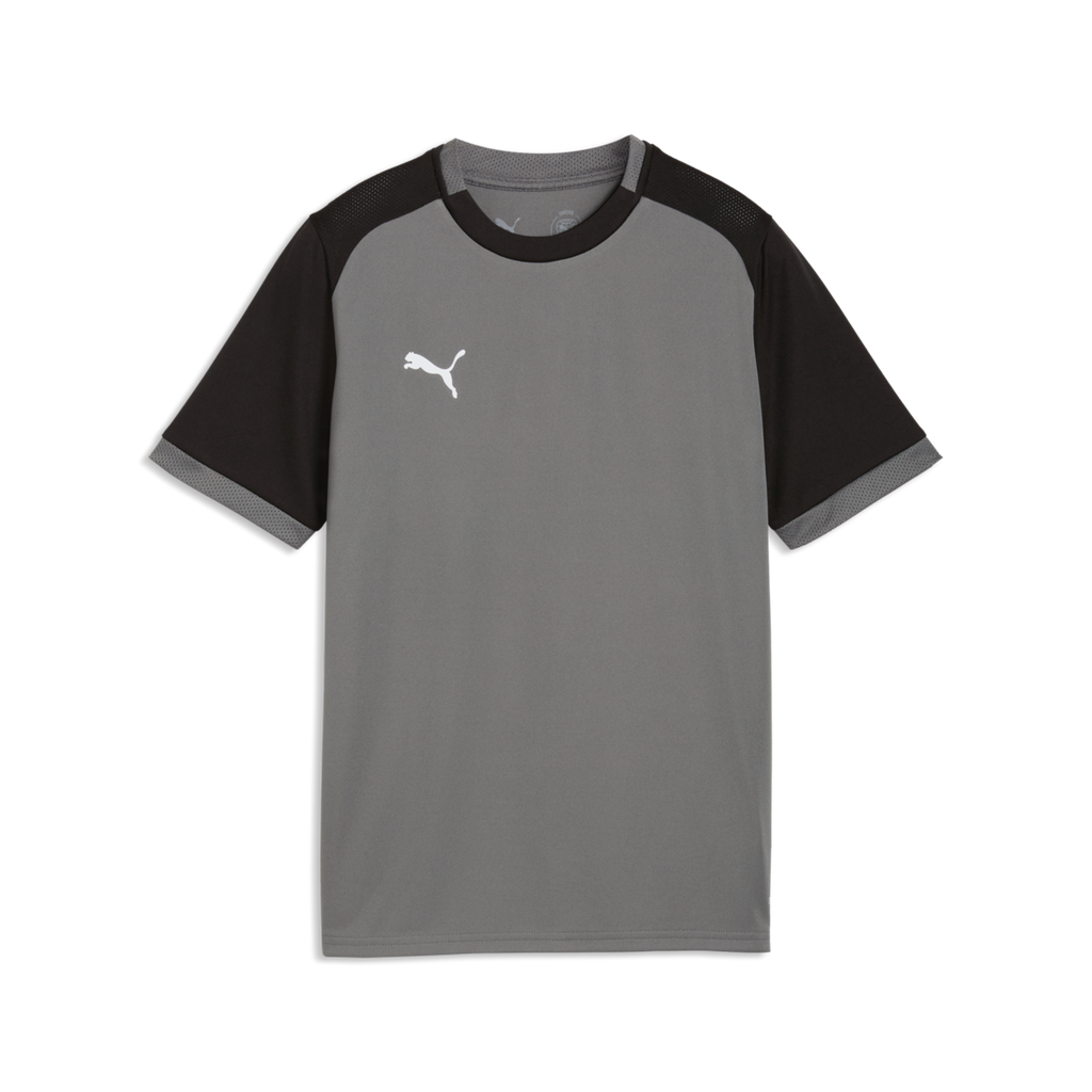 Puma Youth TeamLiga 26 Matchday Jersey - Gray