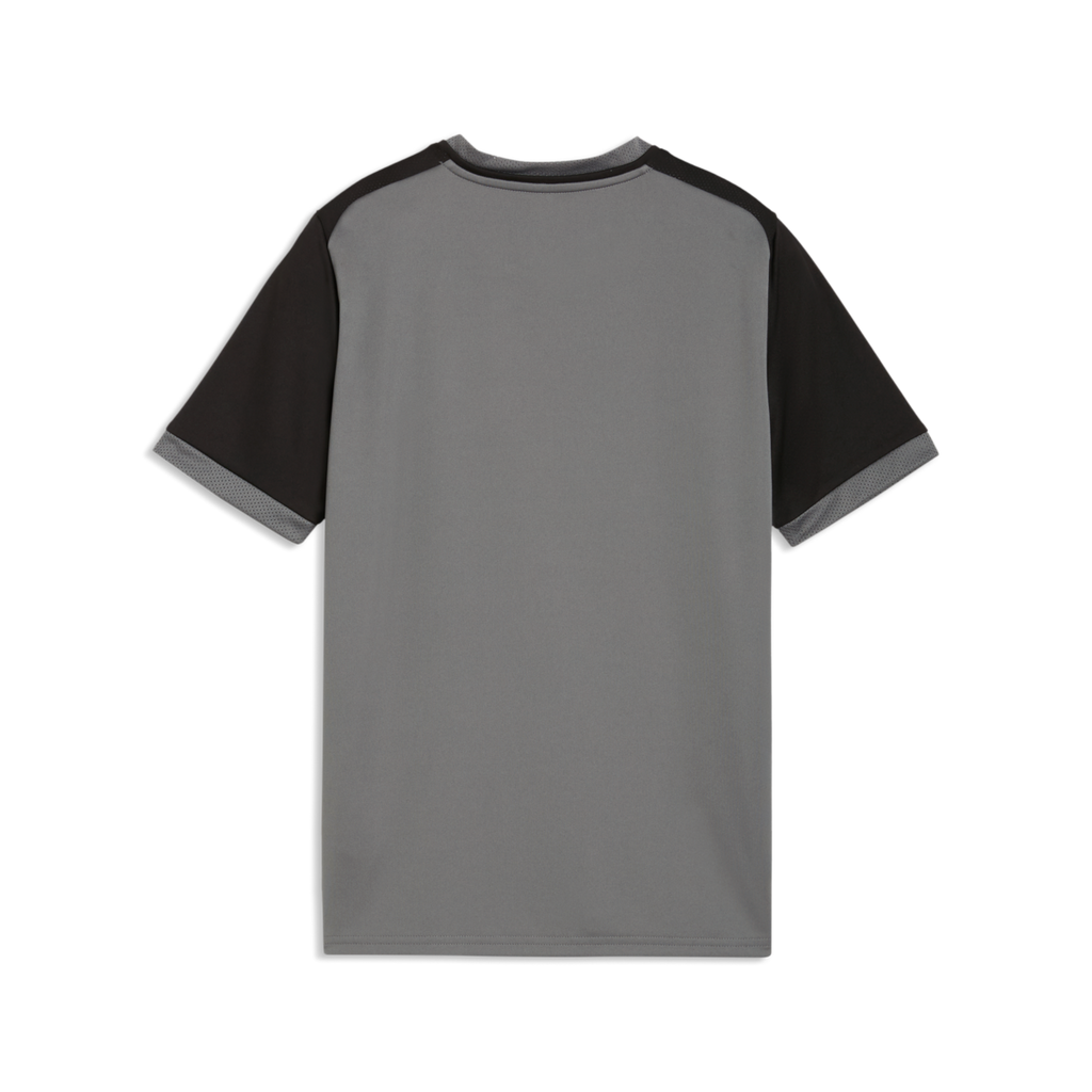 Puma Youth TeamLiga 26 Matchday Jersey - Gray