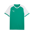 Puma TeamLiga 26 Matchday Jersey - Green