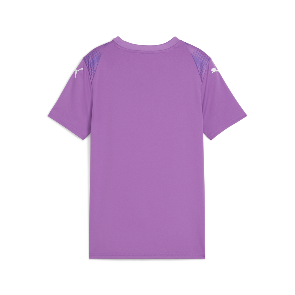 Puma Youth Teamultimate Jersey - Purple