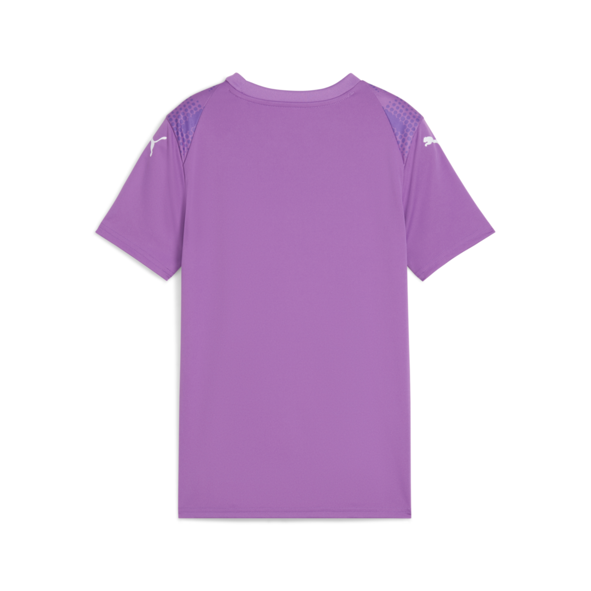 Puma Youth Teamultimate Jersey - Purple