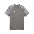 Puma TeamLiga 26 Jersey - Gray