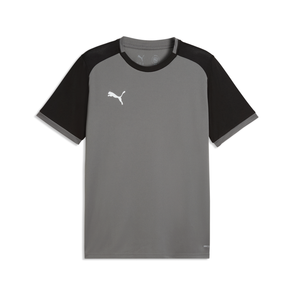 Puma TeamLiga 26 Matchday Jersey - Gray