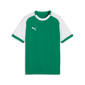 Puma Youth TeamLiga 26 Matchday Jersey - Green