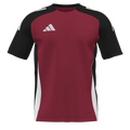 adidas Tiro 24 Competition Custom Jersey (56ers) - Red
