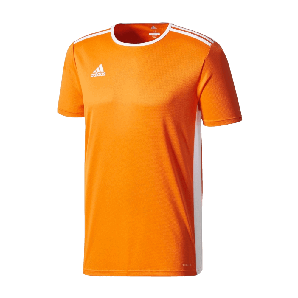 Adidas Entrada 18 Youth Jersey - Orange
