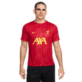 Nike Liverpool Academy Pro Pre-Match Jersey