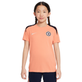Nike Chelsea Special Edition Strike Youth Training Jersey