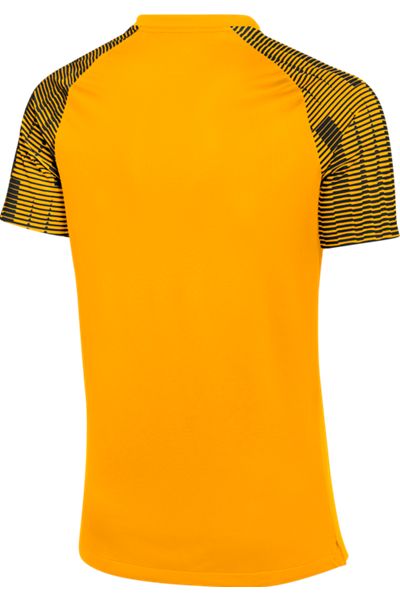 Nike Dri-FIT Academy Jersey - Gold