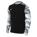 Nike Dri-FIT Park IV GK Jersey - Black