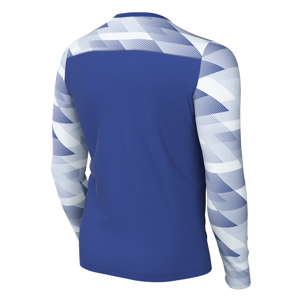 Nike Youth Dri-FIT Park IV GK Jersey - Royal