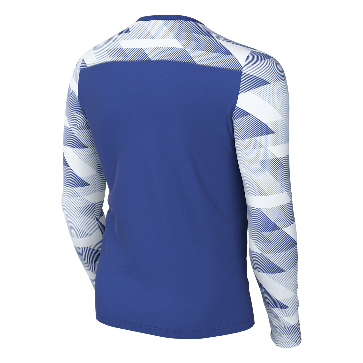 Nike Youth Dri-FIT Park IV GK Jersey - Royal