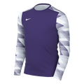 Nike Youth Dri-FIT Park IV GK Jersey - Purple