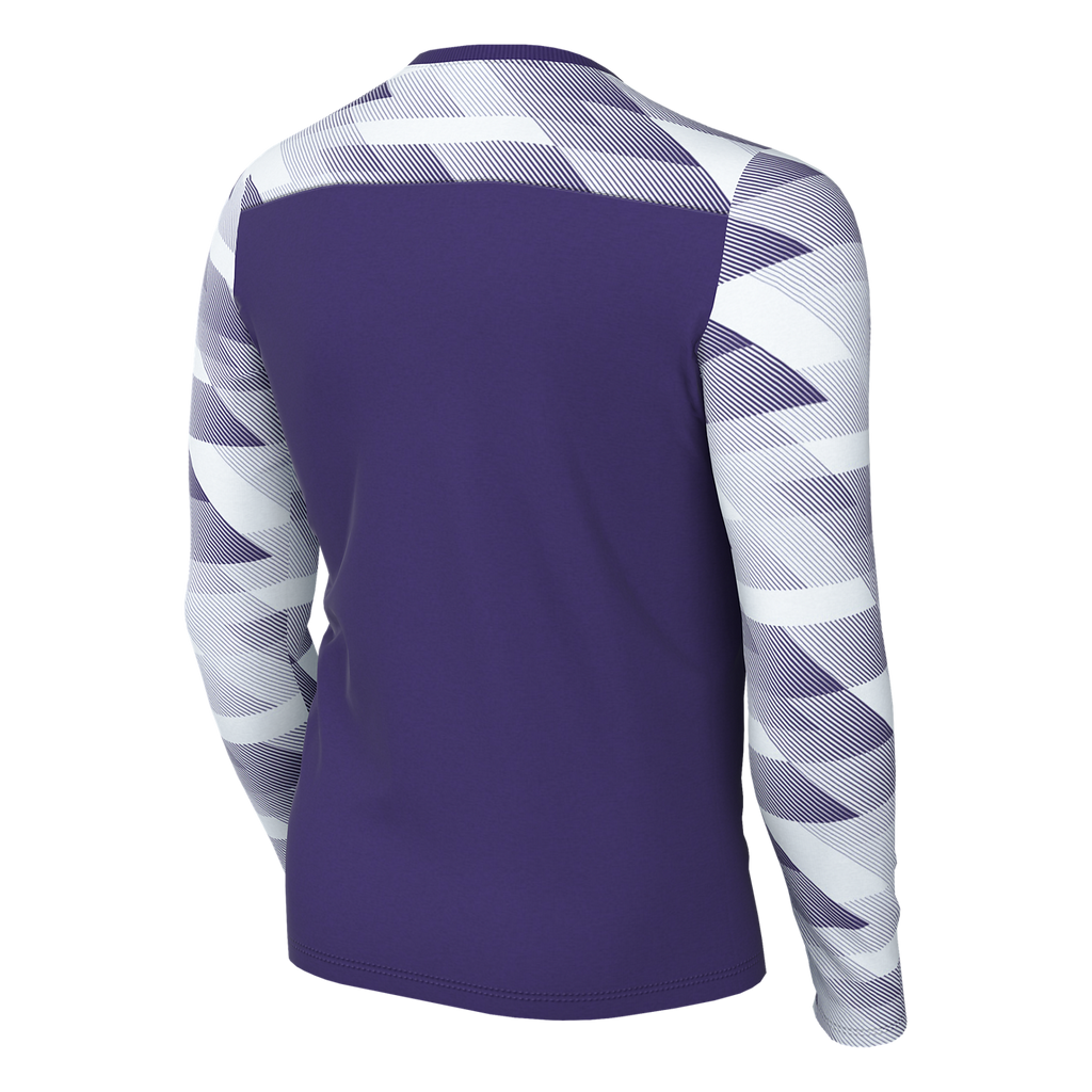 Nike Youth Dri-FIT Park IV GK Jersey - Purple