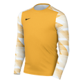 Nike Youth Dri-FIT Park IV GK Jersey - Gold