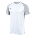 Nike Dri-FIT Academy Jersey - White
