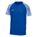 Nike Youth Dri-FIT Academy Jersey - Royal