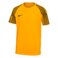 Nike Youth Dri-FIT Academy Jersey - Gold