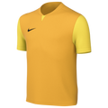 Nike Youth Dri-FIT Trophy V Jersey - Gold