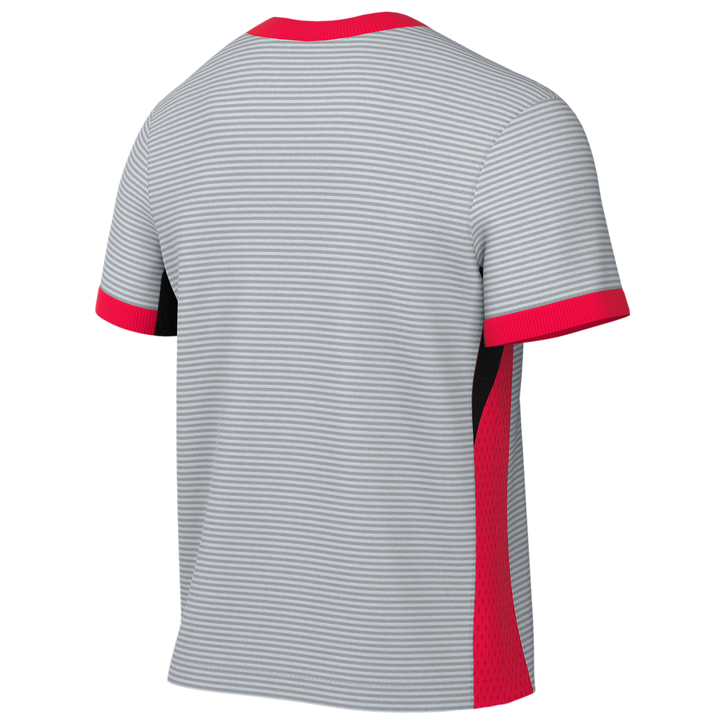 Nike Dri-FIT Strike IV Jersey - Grey