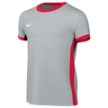 Nike Youth Dri-FIT Strike IV Jersey - Grey