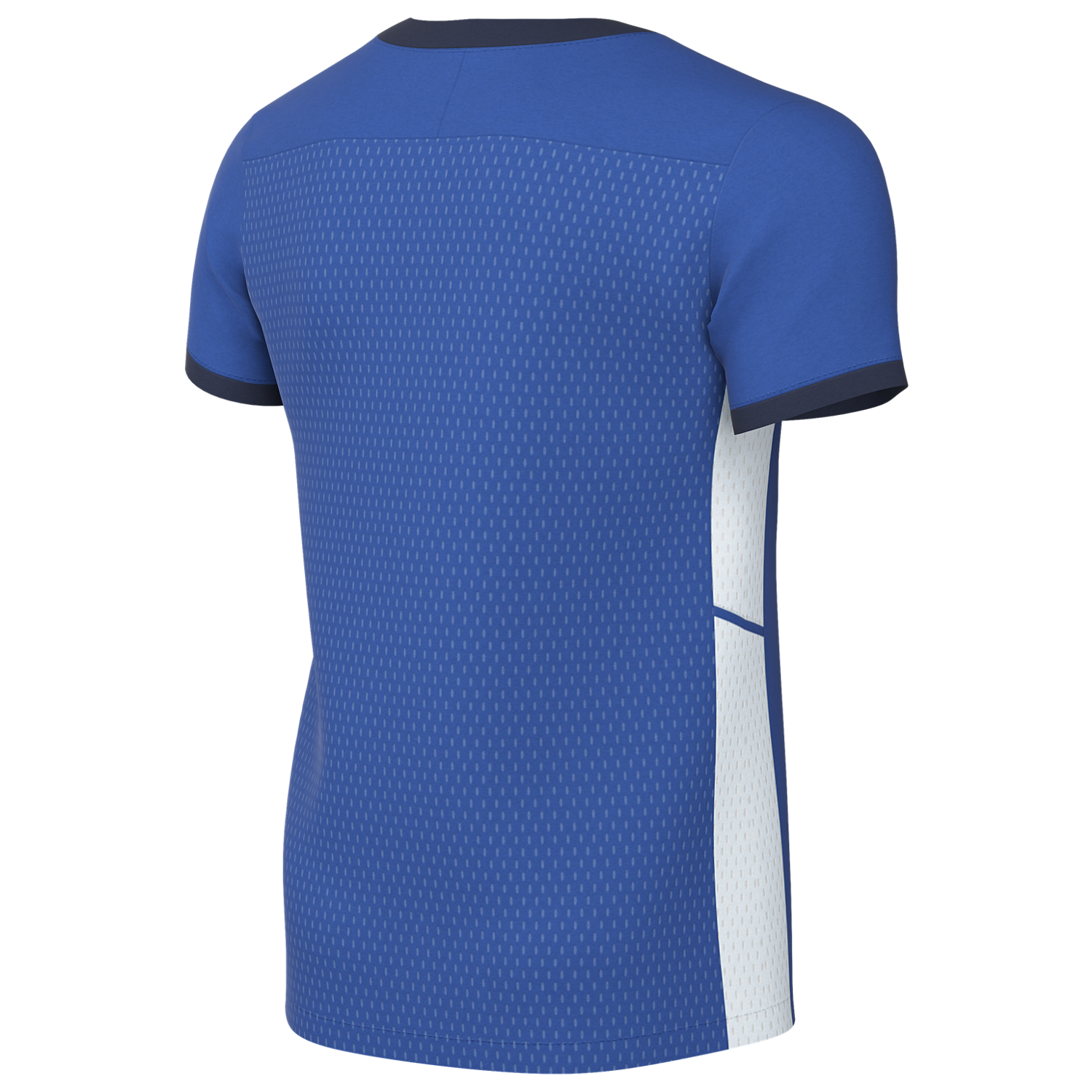 Nike Youth Dri-FIT Academy 25 Jersey -Royal