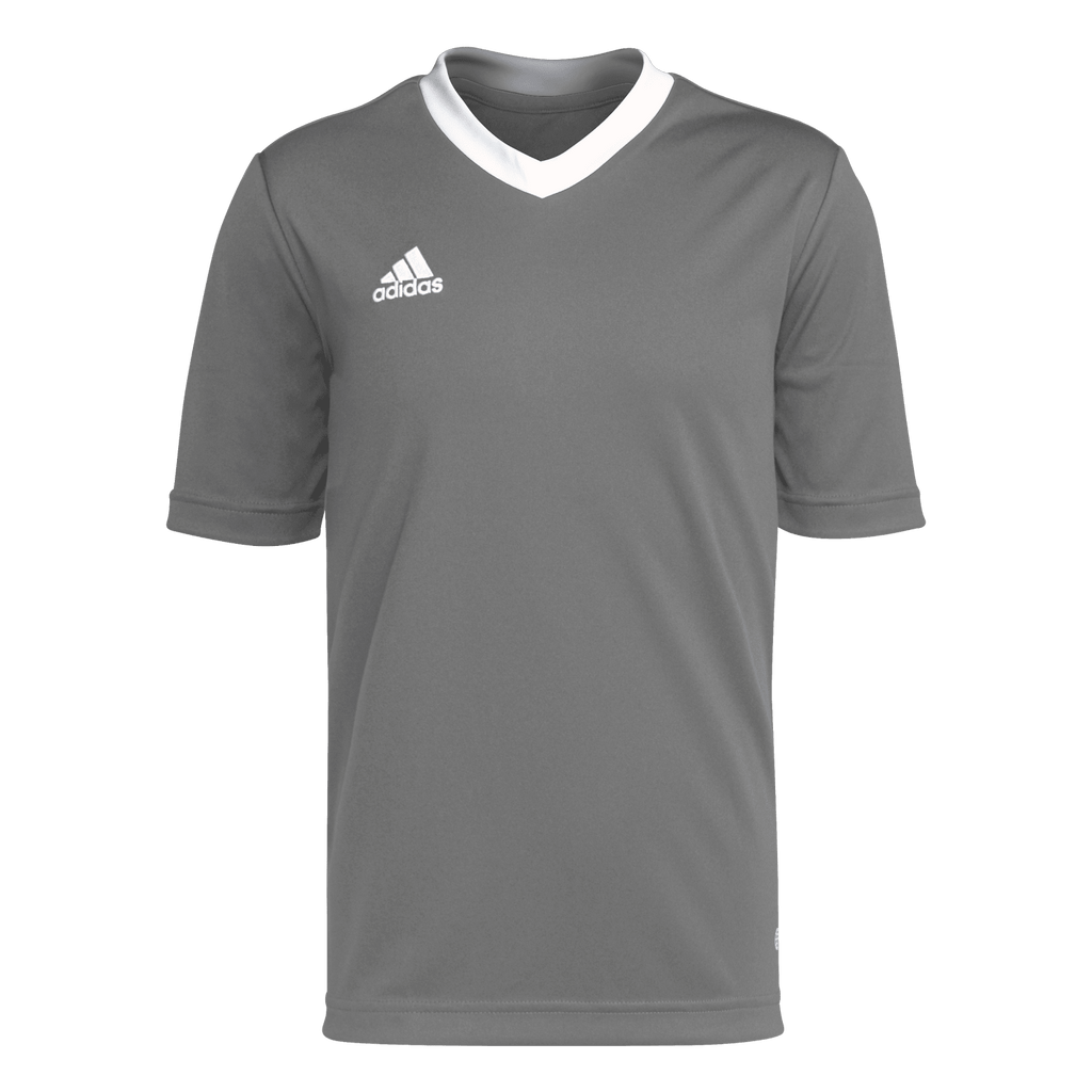 adidas Youth Entrada 22 Jersey - Grey
