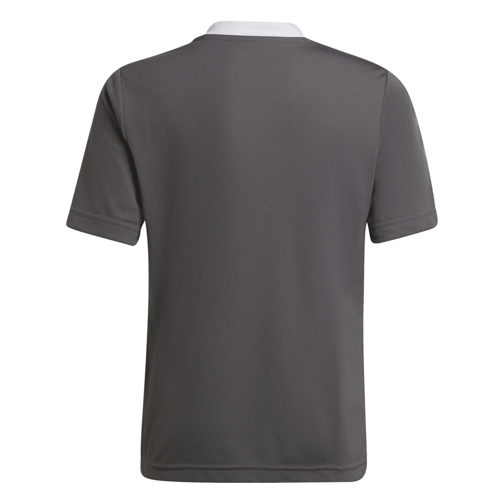 adidas Youth Entrada 22 Jersey - Grey