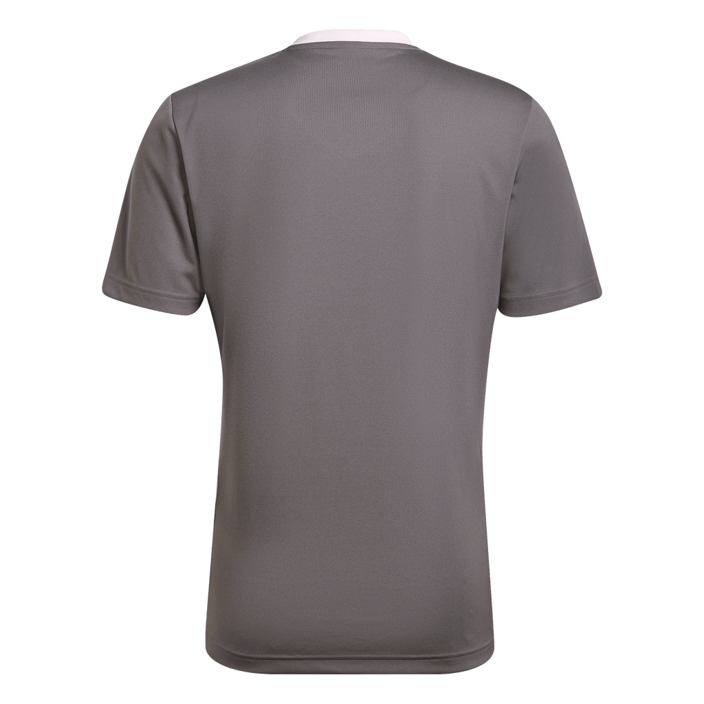 adidas Entrada 22 Jersey - Grey