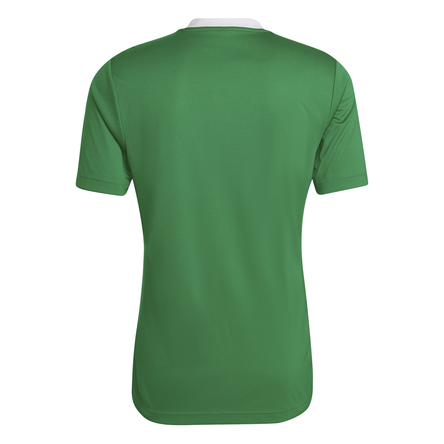 adidas Entrada 22 Jersey - Green