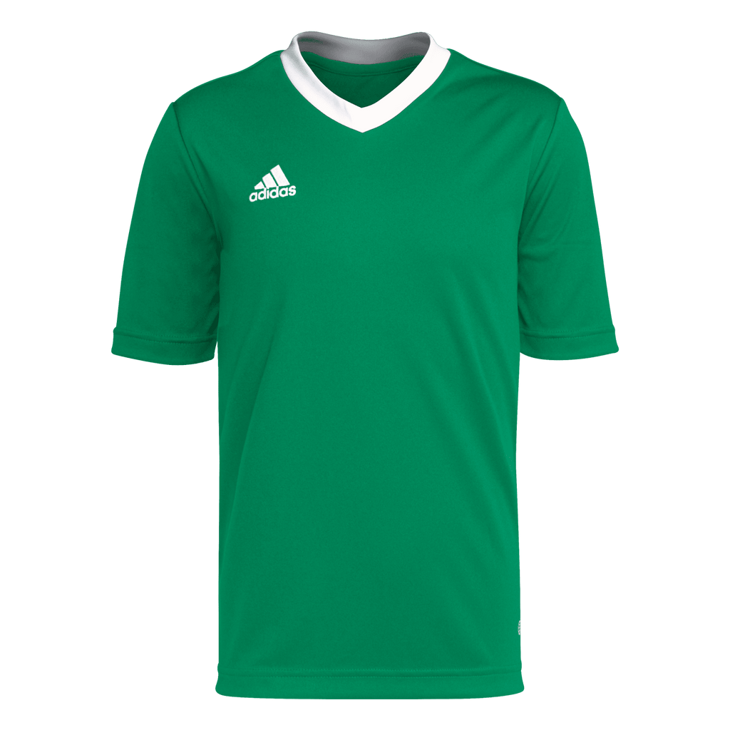 adidas Youth Entrada 22 Jersey - Green