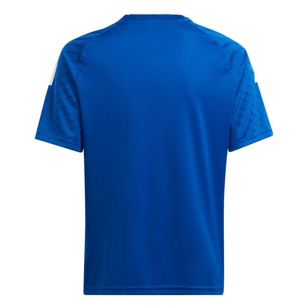 adidas Youth Campeon 23 Jersey - Royal