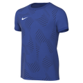 Nike Youth Dri-Fit Revolution V Jersey - Game Royal