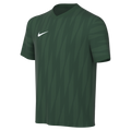 Nike Youth Dri-Fit Challenge VI Jersey - Gorge Green