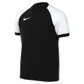 Nike Youth Dri-Fit Trophy VI Jersey - Black