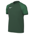 Nike Youth Dri-Fit Trophy VI Jersey - Gorge Green