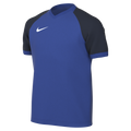 Nike Youth Dri-Fit Trophy VI Jersey - Game Royal