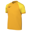 Nike Youth Dri-Fit Trophy VI Jersey - University Gold