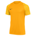 Nike Dri-Fit Academy II Jersey - University Gold