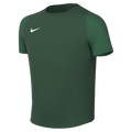 Nike Youth Dri-Fit Academy II Jersey - Gorge Green