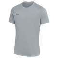 Nike Dri-Fit Park VIII Jersey - Wolf Grey