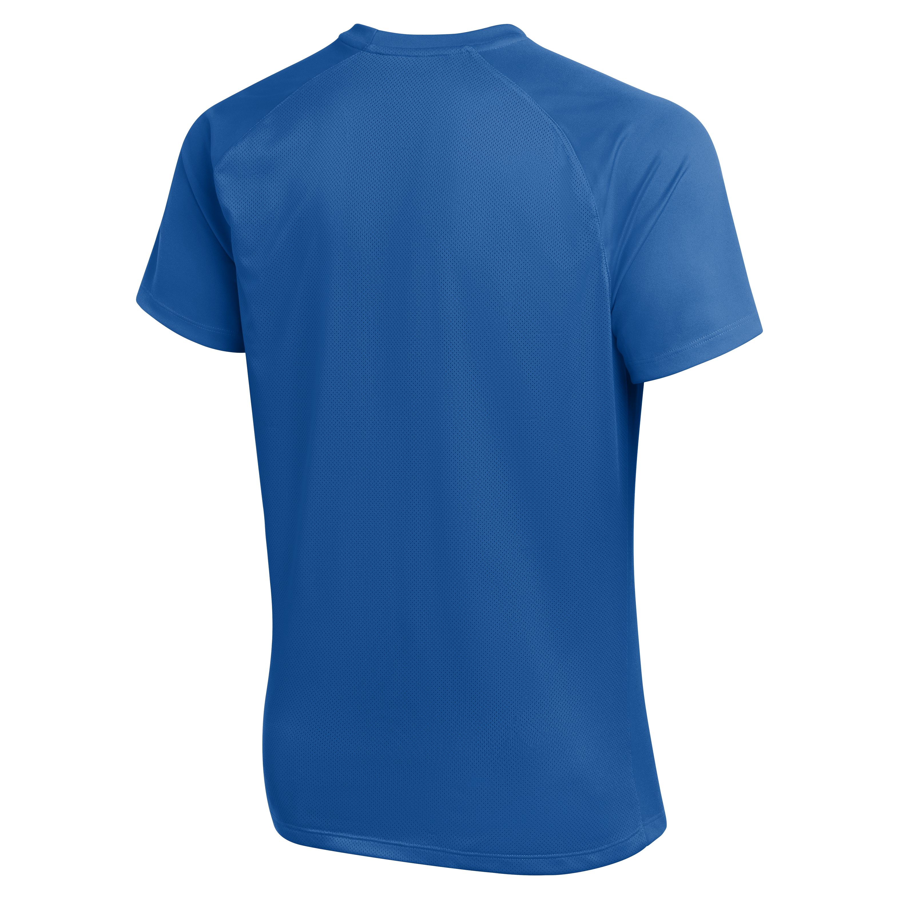 Nike Dri-Fit Park VIII Jersey - Game Royal