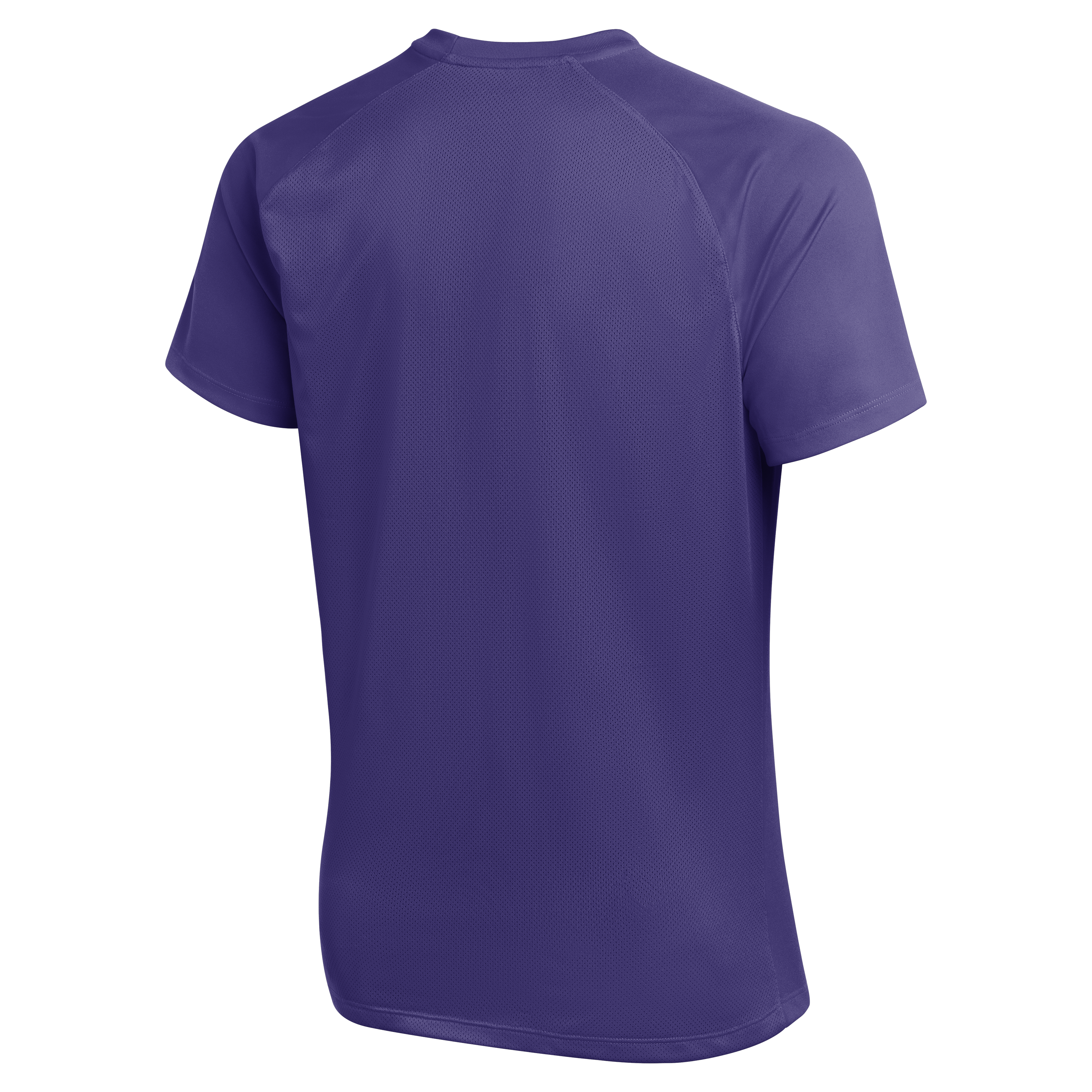 Nike Dri-Fit Park VIII Jersey - Court Purple