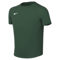 Nike Youth Dri-Fit Park VIII Jersey - Gorge Green