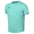 Nike Youth Dri-Fit Park VIII Jersey - Hyper Turq