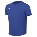 Nike Youth Dri-Fit Park VIII Jersey - Game Royal