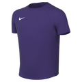 Nike Youth Dri-Fit Park VIII Jersey - Court Purple